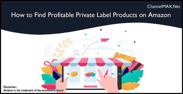How to Find Profitable Private Label Products on Amazon