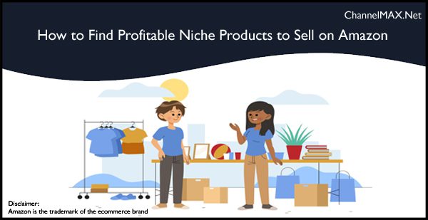 Profitable Niche Products to Sell on Amazon