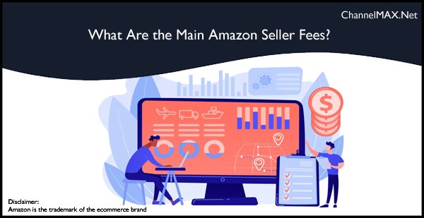 What Are the Main Amazon Seller Fees